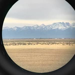 Meet your Posher, Jennie